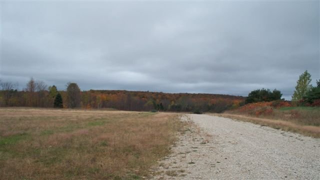 8195 Bluebird Lane