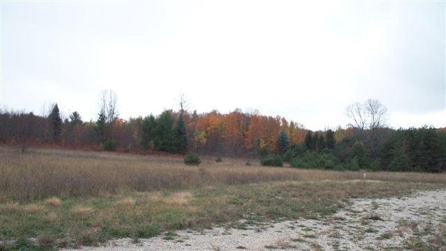 8195 Bluebird Lane
