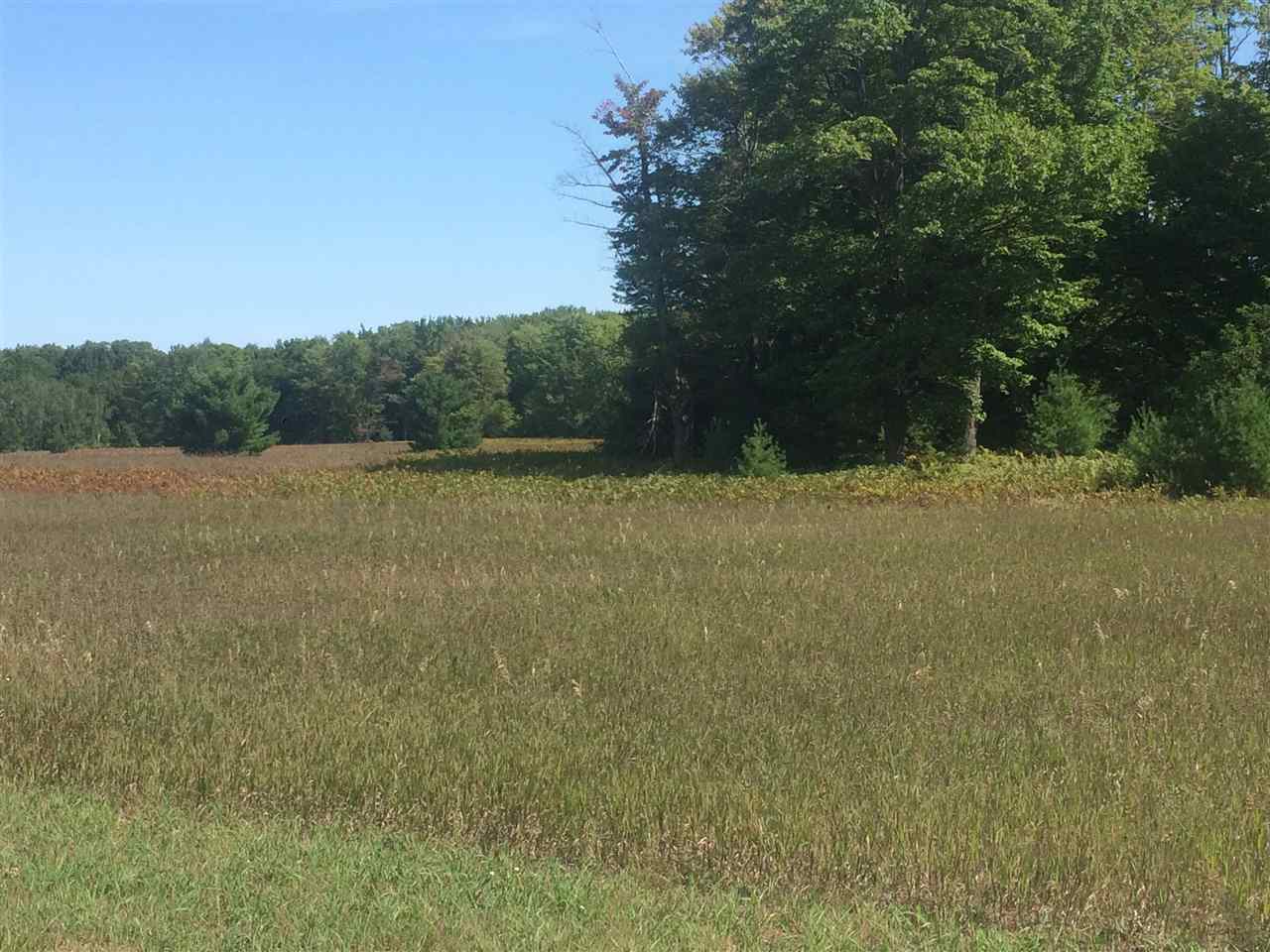 Land for sale in Alanson, Michigan, 459557