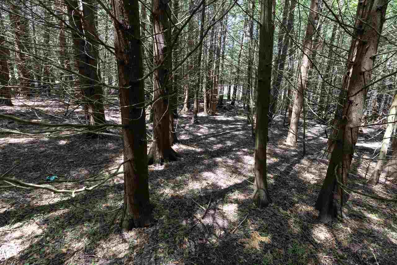 Real Estate One Charlevoix MI