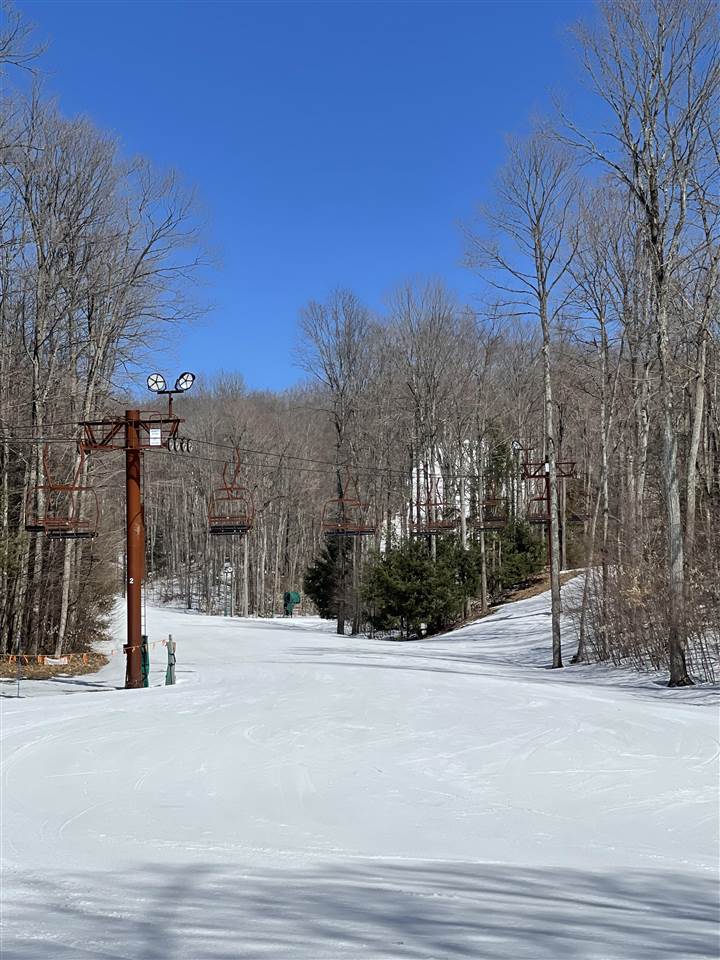 TBD Wintergreen