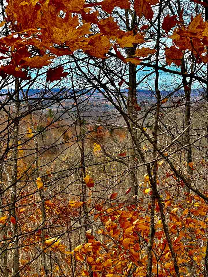 9271 E Mitchell Road, Petoskey, MI 49770