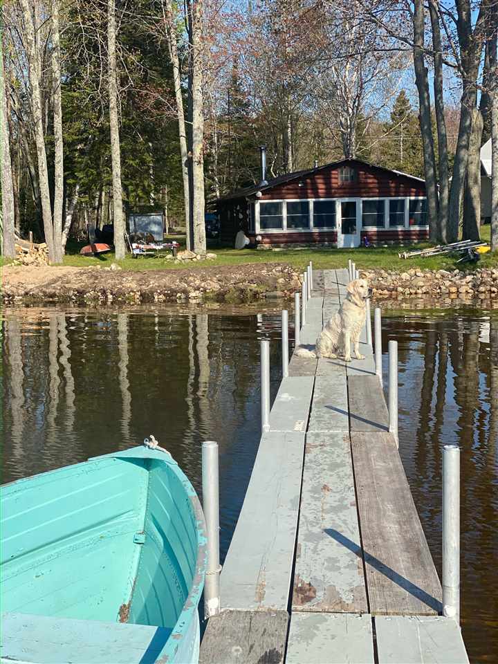 MLS 470873 - 9610  Silver Strand , Levering, MI