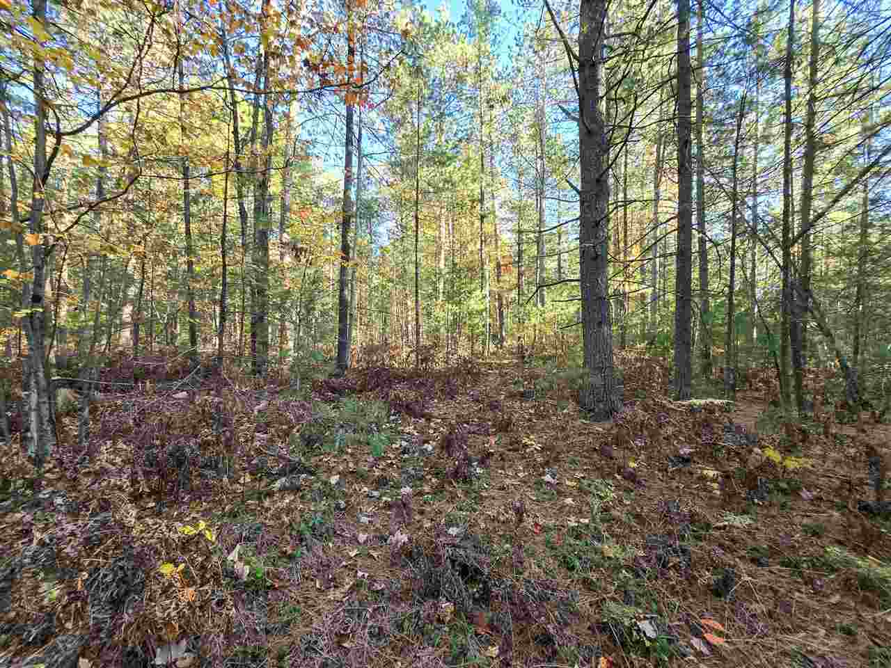 7840 Douglas Lake Road