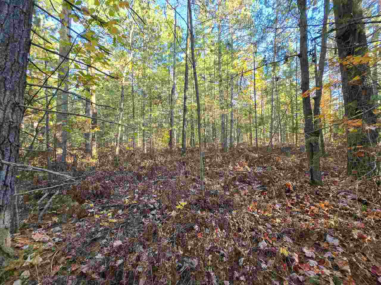 7840 Douglas Lake Road