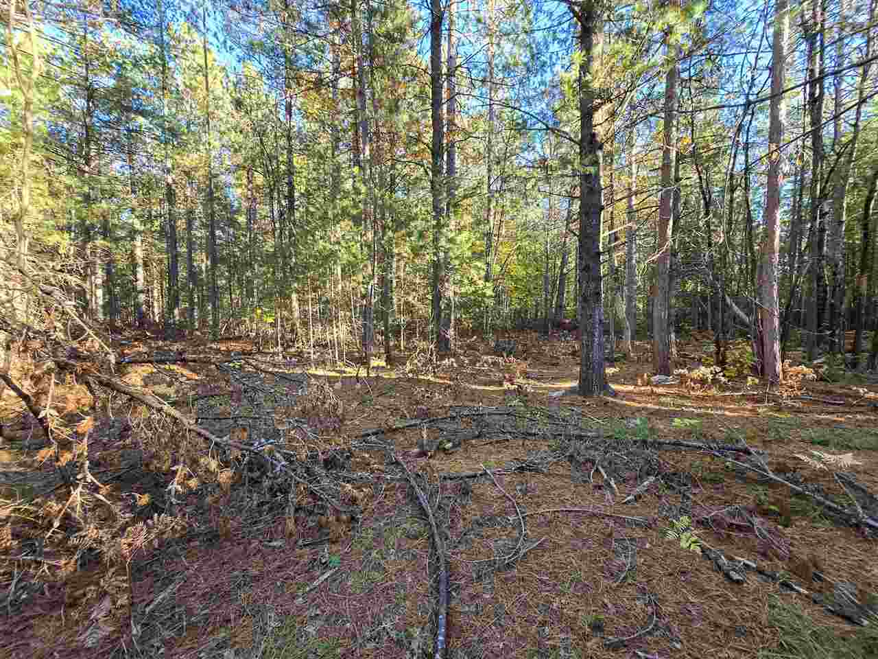 7840 Douglas Lake Road