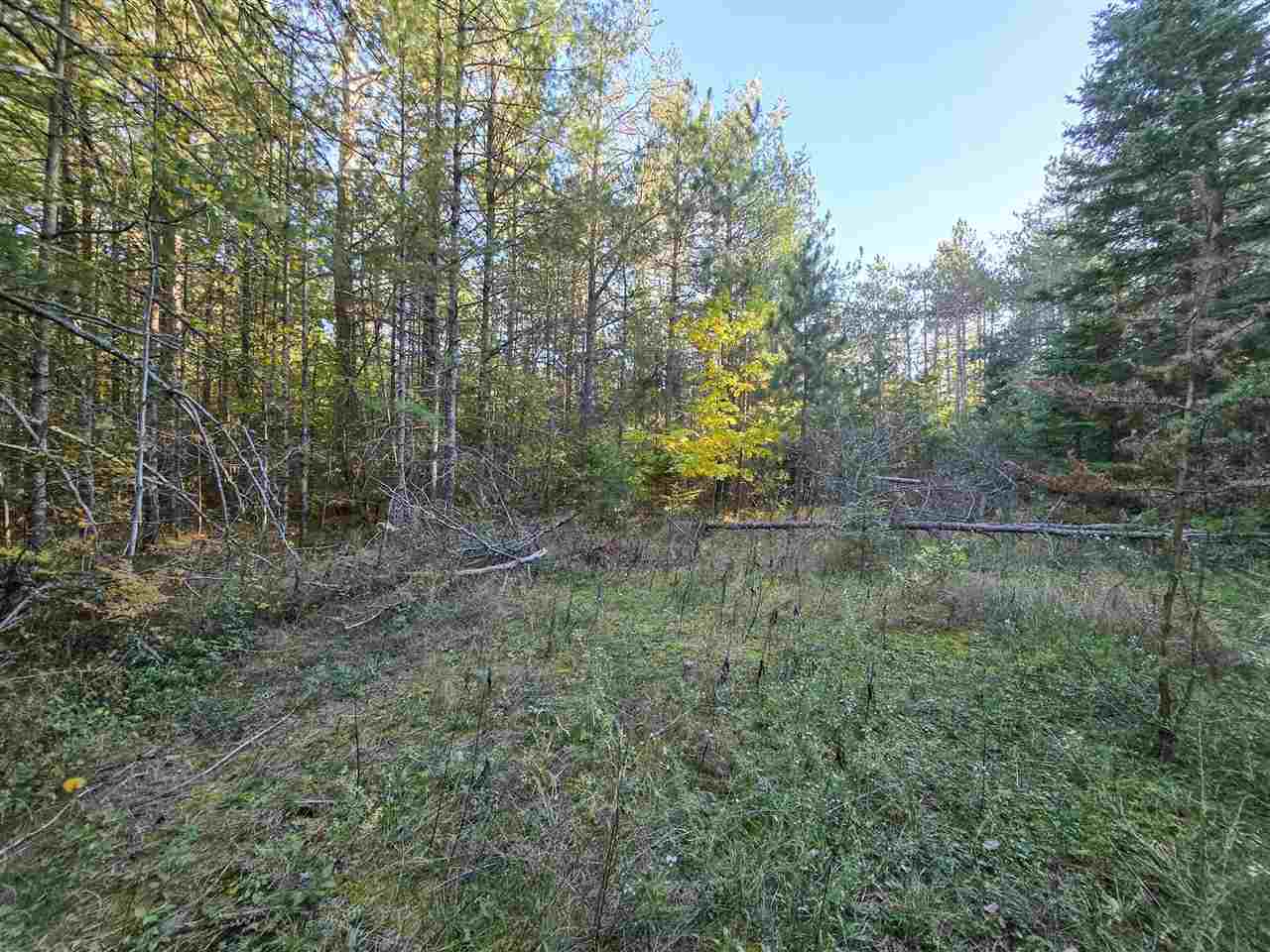 7840 Douglas Lake Road