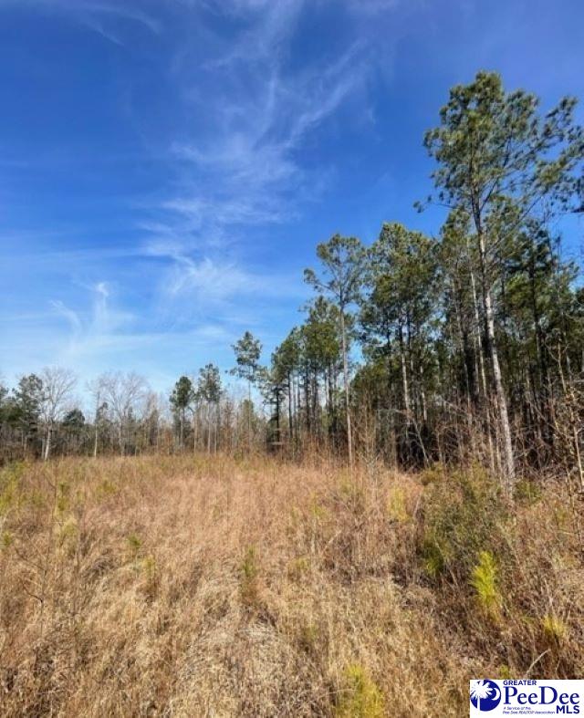 2025 Sam Jones Rd