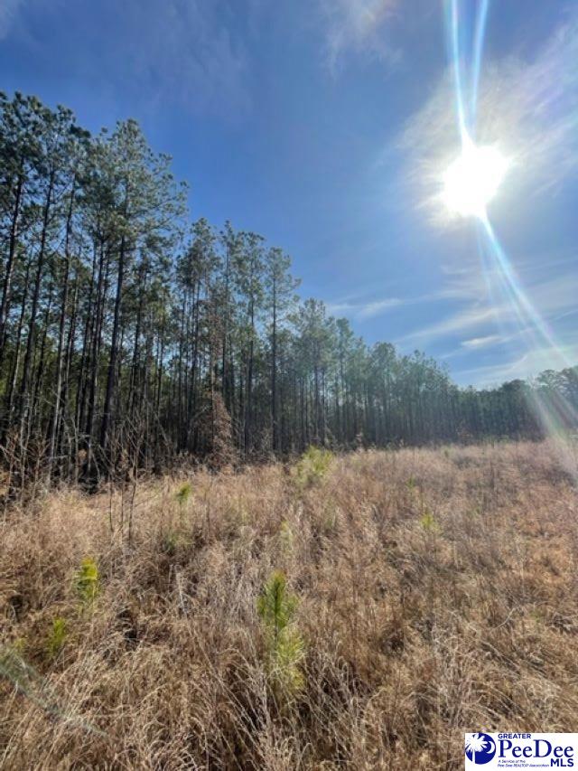 2025 Sam Jones Rd