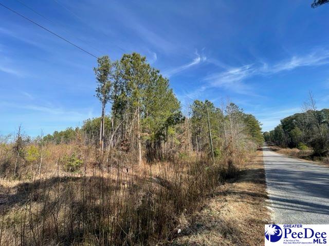 2025 Sam Jones Rd