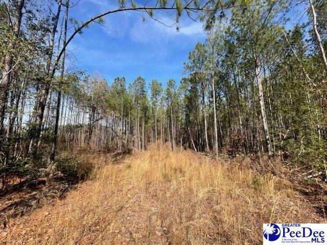 2025 Sam Jones Rd