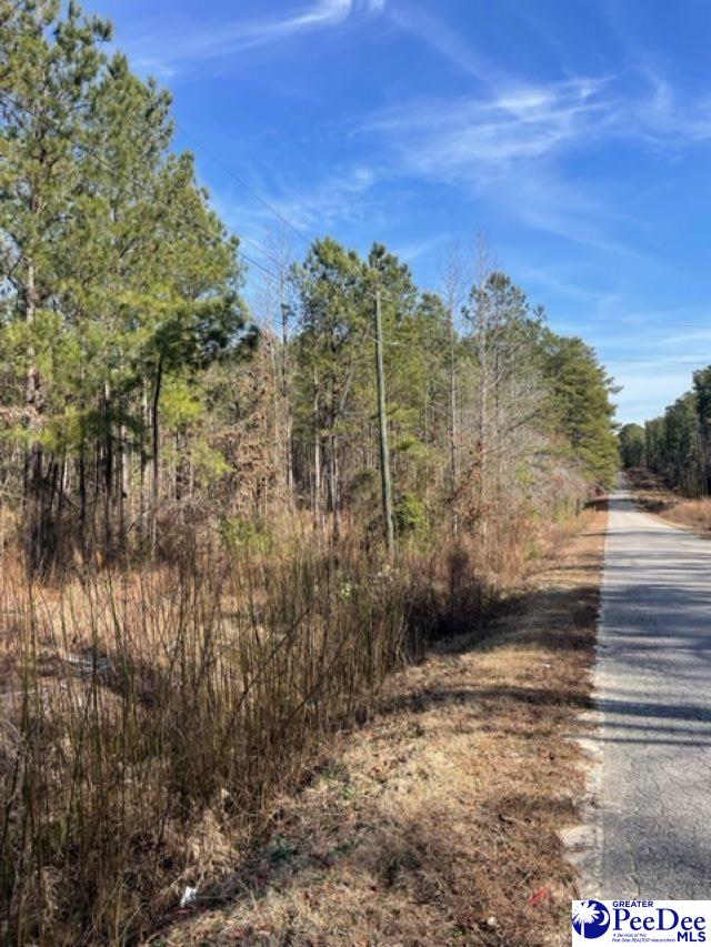 2025 Sam Jones Rd