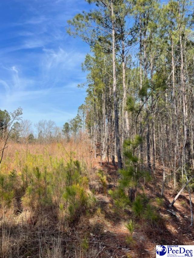 2025 Sam Jones Rd