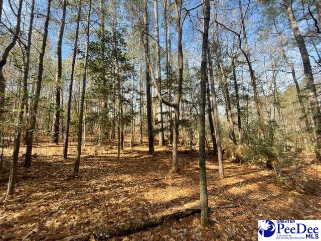 2025 Sam Jones Rd