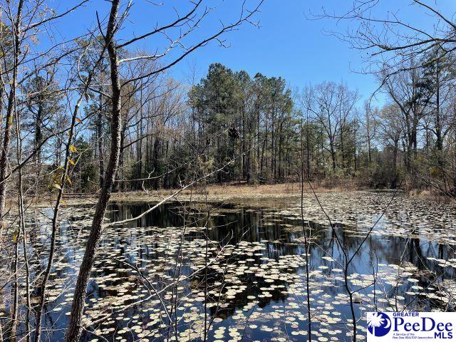 3240 Sam Jones Rd