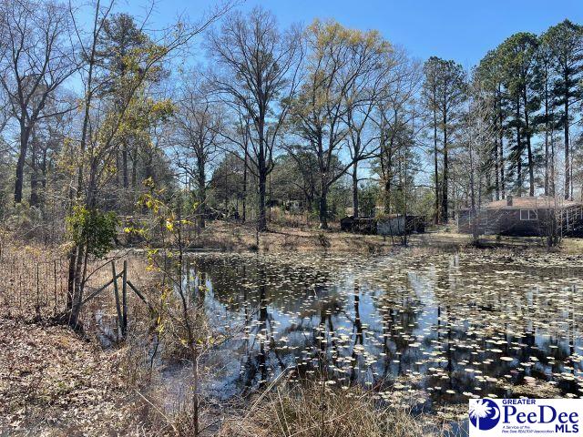 3240 Sam Jones Rd