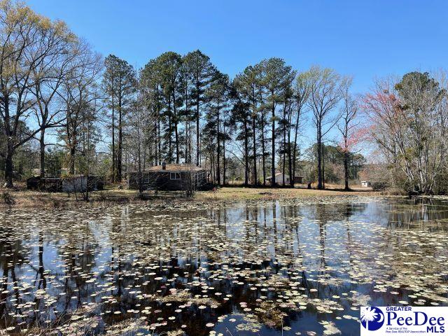 3240 Sam Jones Rd