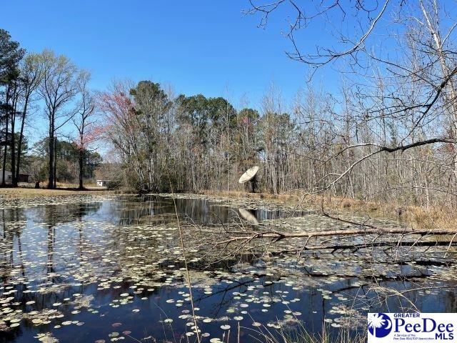 3240 Sam Jones Rd