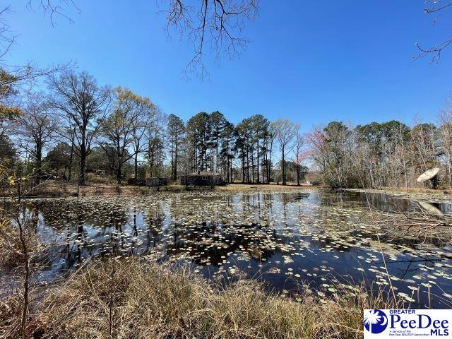 3240 Sam Jones Rd