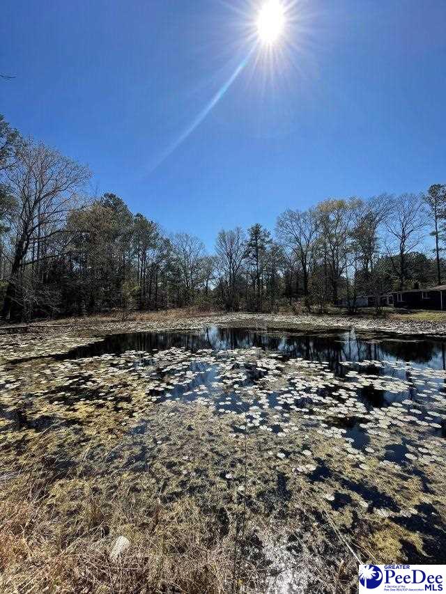 3240 Sam Jones Rd