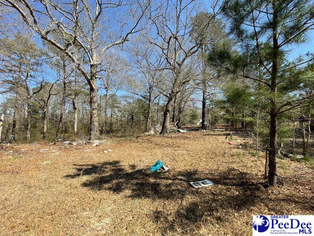 3196 Sam Jones Rd