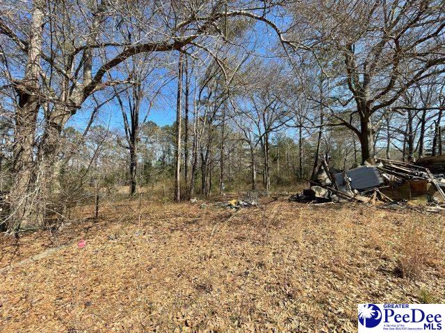 3196 Sam Jones Rd