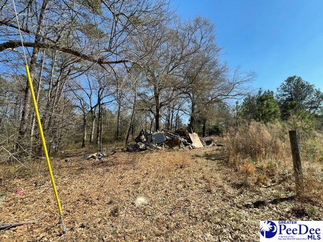3196 Sam Jones Rd