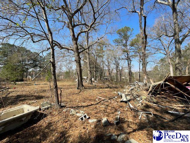 3196 Sam Jones Rd