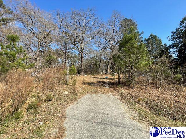 3196 Sam Jones Rd