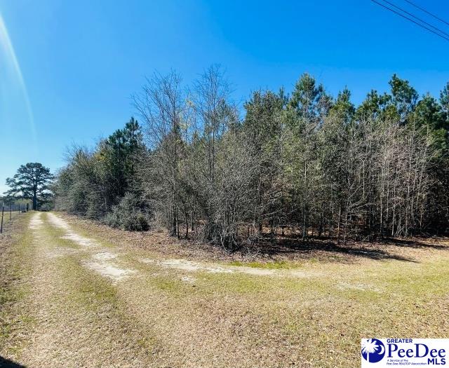 324 Angelus Rd