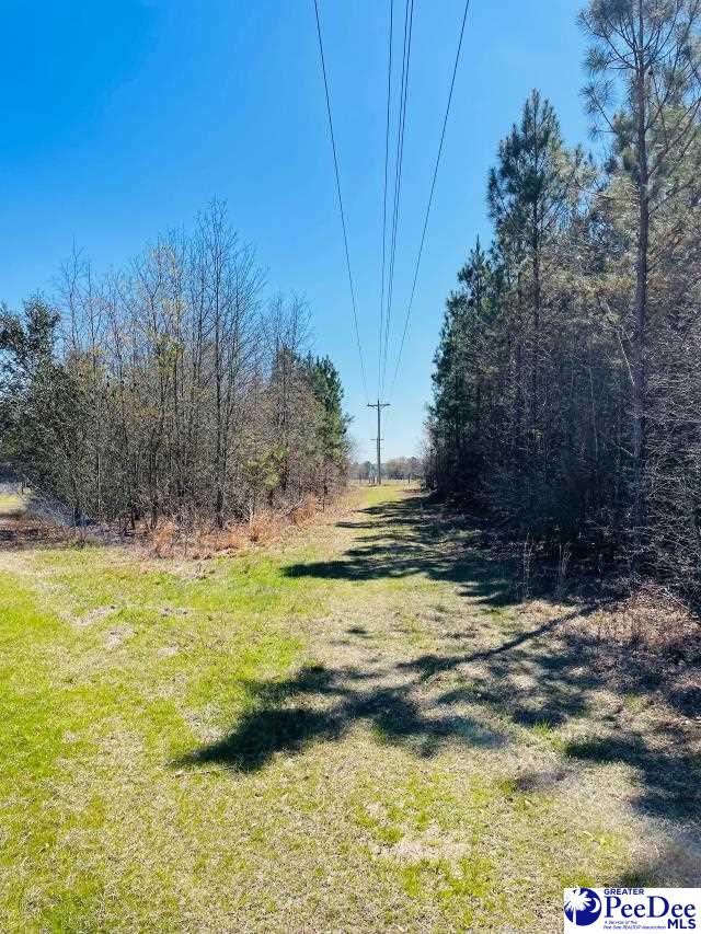 324 Angelus Rd