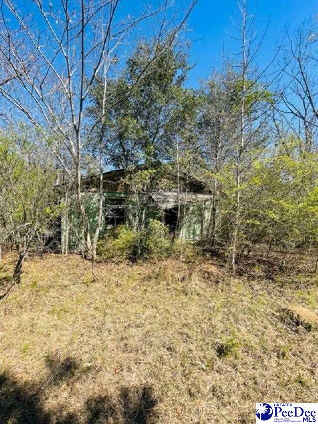324 Angelus Rd