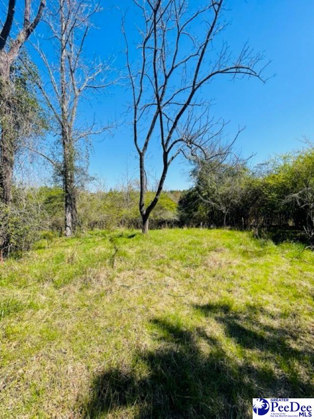 324 Angelus Rd