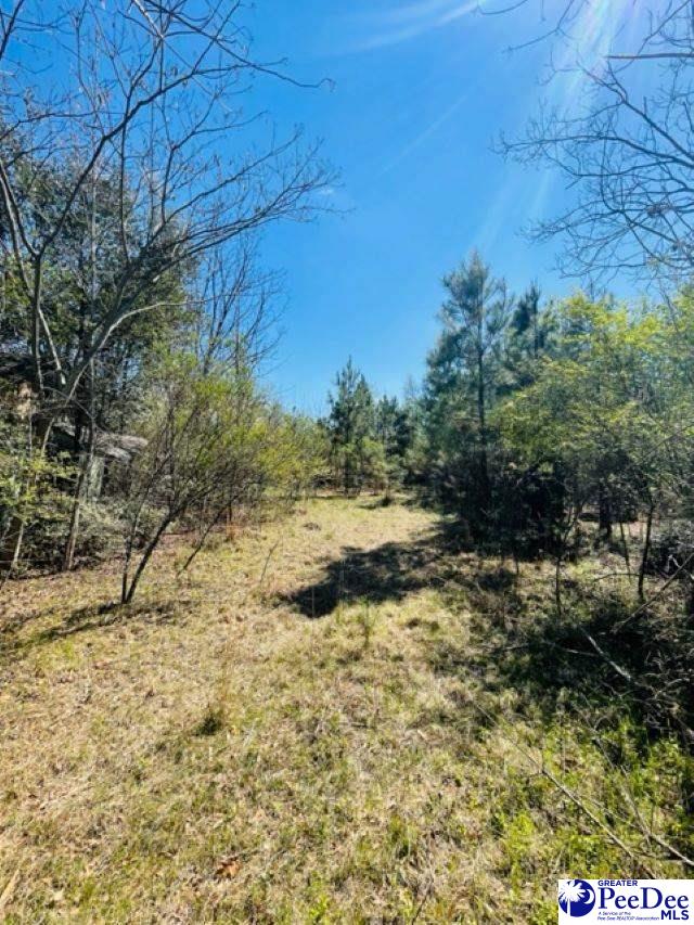 324 Angelus Rd