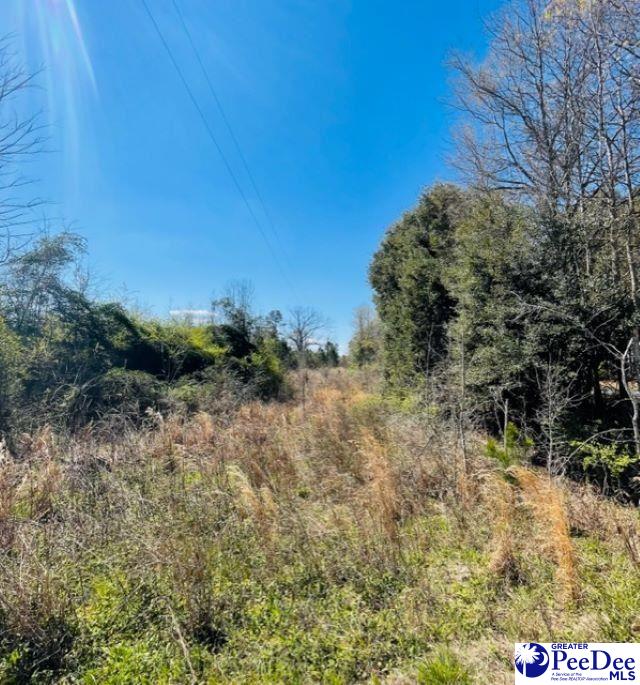 324 Angelus Rd