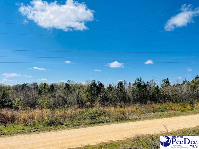 324 Angelus Rd