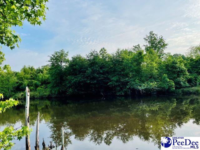 324 Angelus Rd