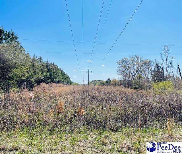 324 Angelus Rd
