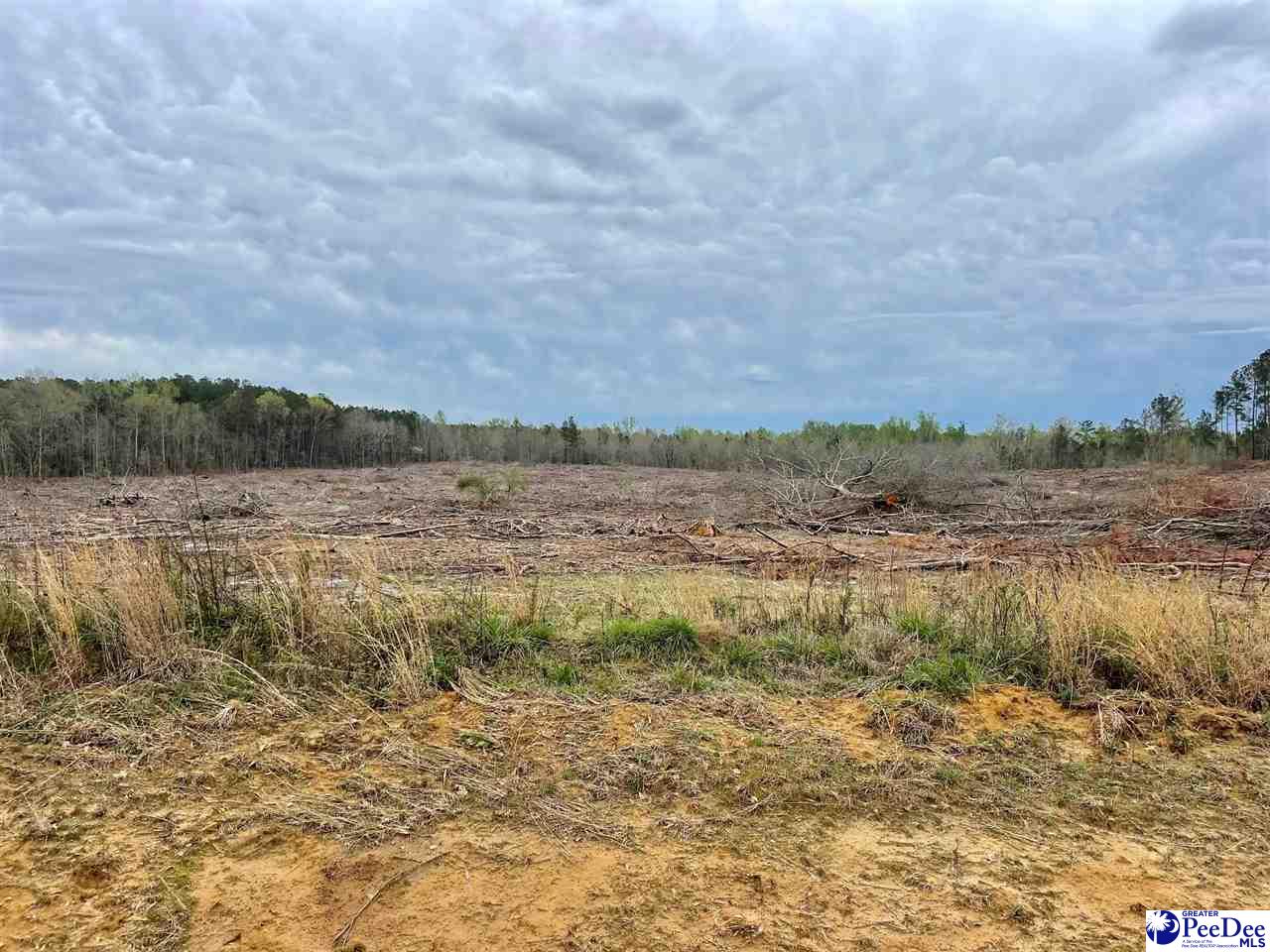 Bully Rd-21.01 acres