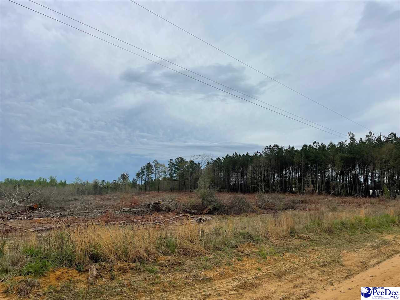 Bully Rd-21.01 acres