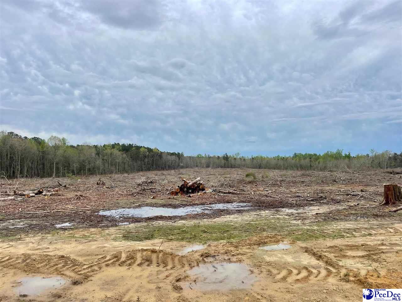 Bully Rd-21.01 acres