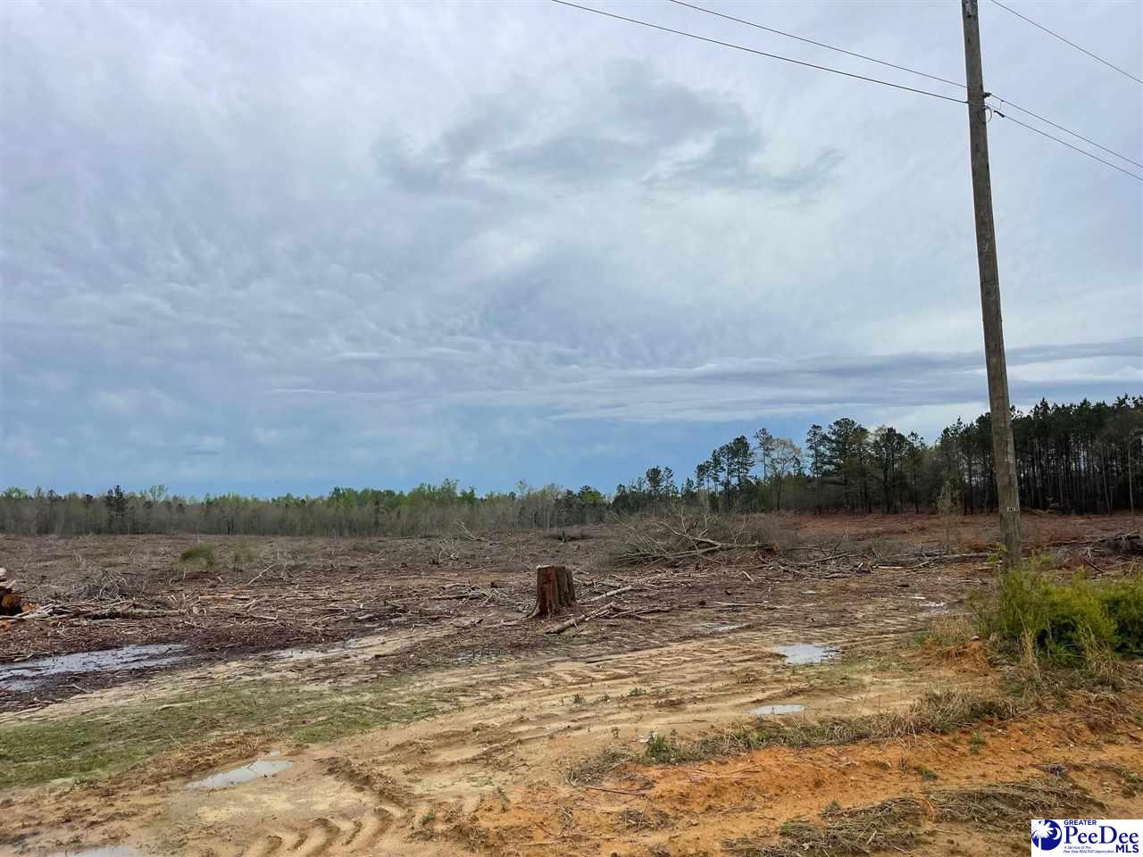 Bully Rd-21.01 acres