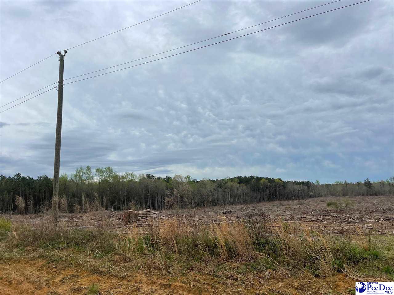 Bully Rd-21.01 acres