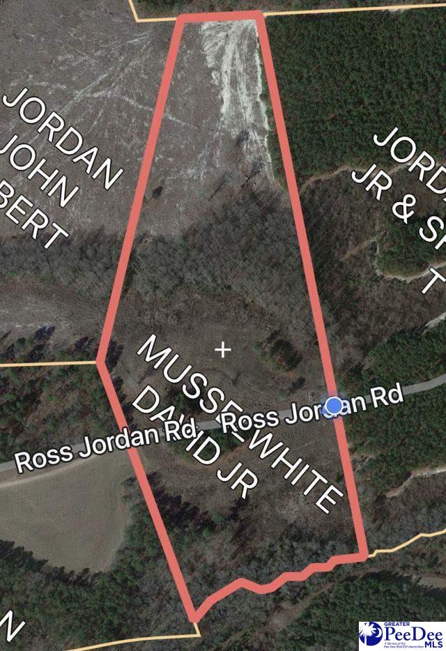 Ross Jordan Lane