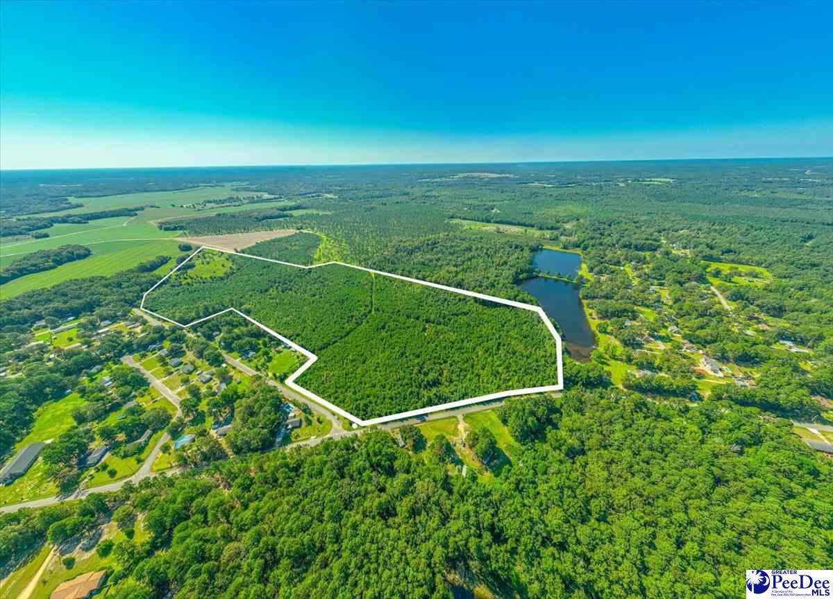 589 Bridlewood Rd.