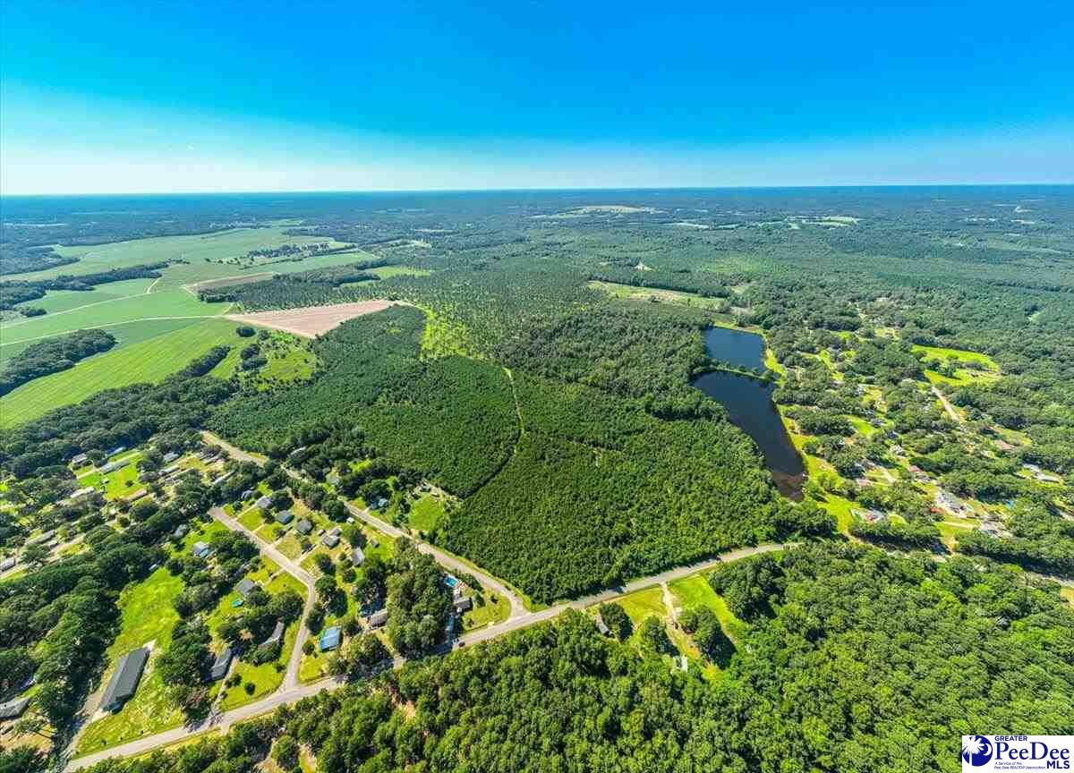 589 Bridlewood Rd.