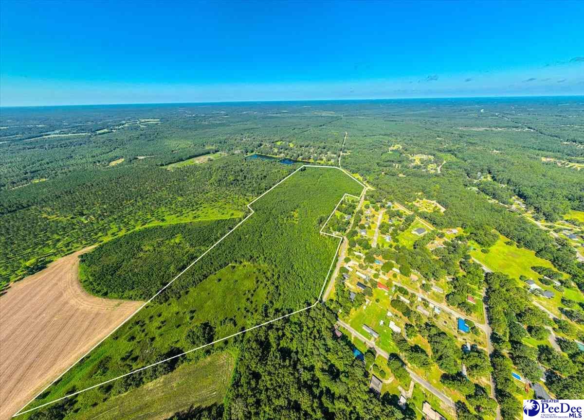 589 Bridlewood Rd.