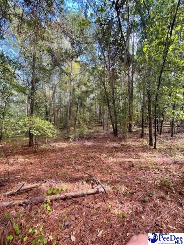 Centerpoint Rd