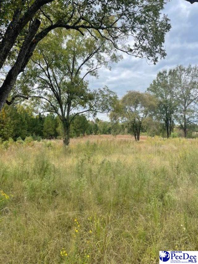 1565 Pleasant Grove Church Rd