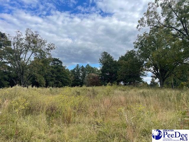 1565 Pleasant Grove Church Rd